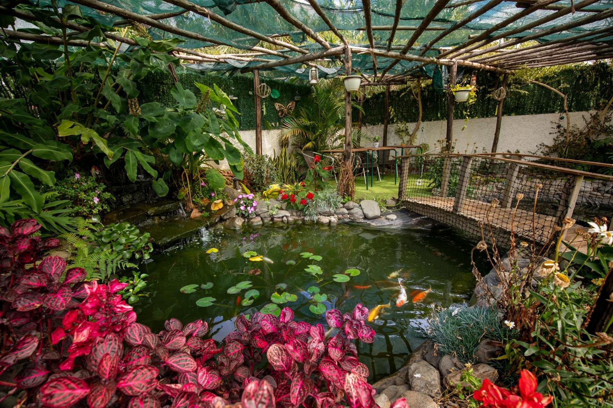 Levada House Prazeres Villa Ngoại thất bức ảnh